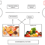 Arthritis diet foods inflammation reduce rheumatoid pain natural remedies reducing list knee cure types health early help symptoms infographic turmeric